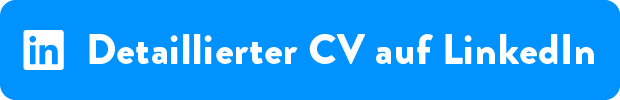 LinkedIn CV